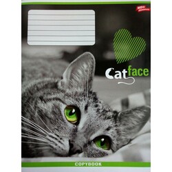 Мрії збуваються. Зошит 24 л. клітина. Кольори в асортименті(4820036480098)