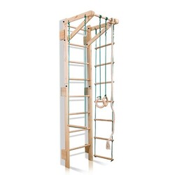 SportBaby. Дитячий спортивний куточок "Teenager Sport 2-220"(2-220)