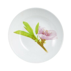 Luminarc. Тарілка супова  WATER COLOR 200мм(0883314079630)