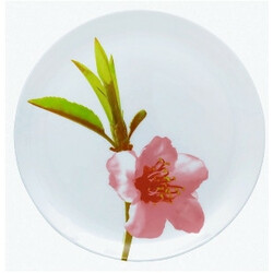 Luminarc. Тарілка обідня  WATER COLOR  25 см(0883314079609)