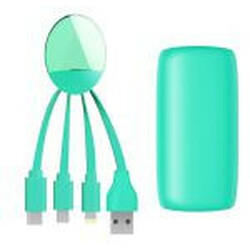 Xoopar. Внешн.порт.аккум.батареяXOOPAR - WEEKENDER (Li-Pol,5000мА*ч,мят,с каб.Тype-C,Lighting,microU