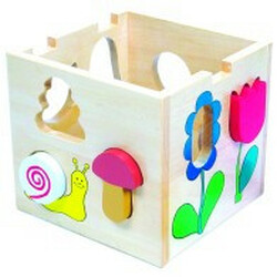 Bino. Коробка - сортер - Florell(84165)