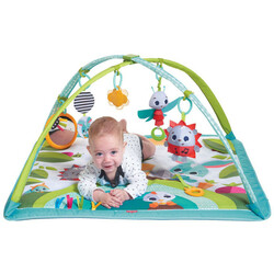 Tiny Love. Розвиваючий маленький килимок з дугами "Весела Поляна"(7290108862287)