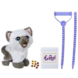 Hasbro. Интерактивная игрушка "Весёлый котёнок Ками" (C1156)