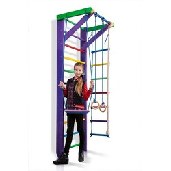 SportBaby. Спортивний куточок "Карусель 2-240"