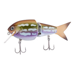 Nories. Воблер Hira Crank Gill 110F 30.0g HR12(1561.09.24)