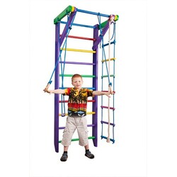 SportBaby. Спортивний куточок "Карусель 2-220"