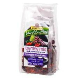 Mr.Nut. Суміш ягід Ягідний Мікс  - фруктово-ягідне асорті 100 г   (8001645019435)