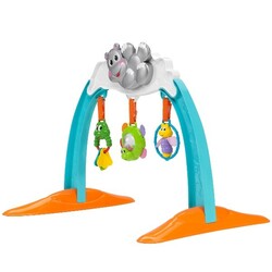 Chicco. Игровой центр Hyppo Gym (05195.00)