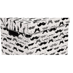  Ящик для хранен Global-Pak Усы  карт 34х25х26см (5904378234041)