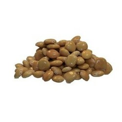 Starbaits. Прикормка Preparation X Lupin бобы 700г (32.58.99)