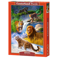 Castorland. Пазл 1000 дет животные шт (5904438060283)