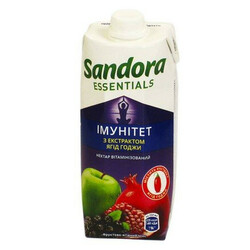 Sandora. Нектар с экстрактом ягод годжи 0,5л(9865060034034)