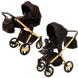 Babyhit. Универсальная коляска 2 в 1 Invictus V-Print (05 Black-02 Gold)