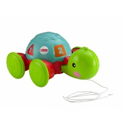 Fisher - Price. Каталка на мотузку "Вчена черепашка"(Y8652)