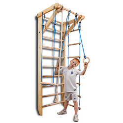 SportBaby. Дитячий спортивний куточок «Sport 2-220» (00053968)