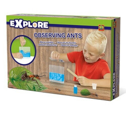 Ses. Игровой набор для юного зоолога - МУРАВЬИНАЯ ФЕРМА (25084S)