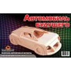 Игрушки из дерева. Автомобиль Будущего (П139)