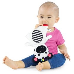Baby Einstein. Іграшка м'яка розвиваюча "Zen the Zebra" (12490)