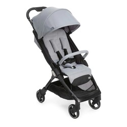 Chicco. Коляска WE Stroller, кол.19 (79885.19)