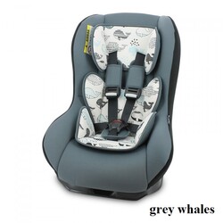 Lorelli. Автокресло  BETA PLUS (0-13 кг.)