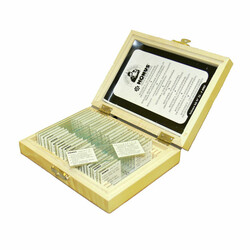 KONUS. Набор микропрепаратов Ботаника: Двудольные покрытосеменные растения (25 шт.) (4985)