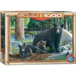 Eurographics. Пазл Пізнаючи світ. Кевін Даніель, 1000 елементів (6000-0793)