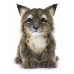 Hansa. М'яка іграшка Рись, 18 см (7505)