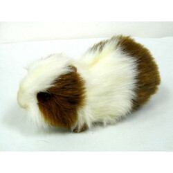 Hansa. М'яка іграшка Морська свинка коричнева з білим, довжина 20 см (3735)