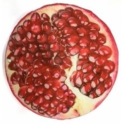 Toyko. Подушка Гранат (p-101)