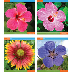 МРІЇ ЗБУВАЮТЬСЯ. Тетрадь 60л. (линия), 2923л "Цветы" (480210)