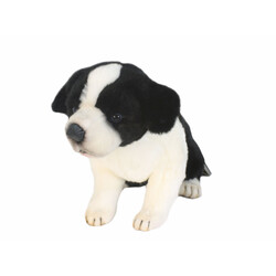 М'яка іграшка Hansa Щеня бордер-коллі, який сидить 25 см, арт. 5664 (4806021956649)