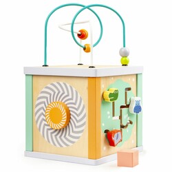 Дерев'яний бізікуб Ecotoys (1031)