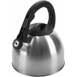 Чайник со свистком POLARIS Verde-2,2L нерж. сталь, 2,2 л (015270)(5055539142658)