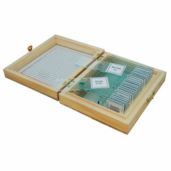 Набір слайдів Sigeta Ботаніка (25 шт.) (65104)