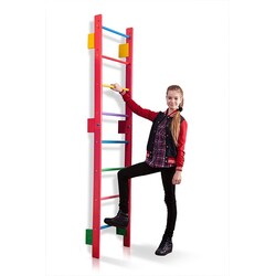 Шведская стенка - Teenager-0-220 (barby) (00077165)