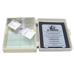 Набор микропрепаратов KONUS Здоровые ткани человеческого тела, часть I (10 шт.) (4910)