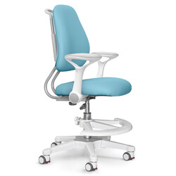 Дитяче крісло ErgoKids Mio Ergo (00080356)