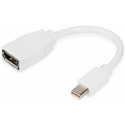 Адаптер Digitus mini DP-DP, M/F, 0.15m, white (DB-340405-001-W)