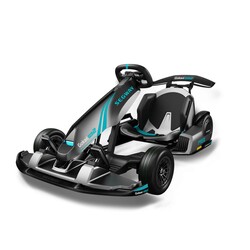 Карт Segway GoKart PRO 2, сіро-блакитний (AA.04.04.01.0004)