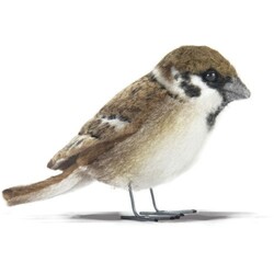 Hansa. Воробей, 7 см, реалистичная мягкая игрушка (4806021970195)