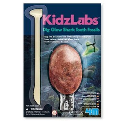 4M. Набір для творчості Розкопки акули(00-05918)