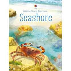 Usborne. Повчальна книга "Морський берег"(9781409581789)