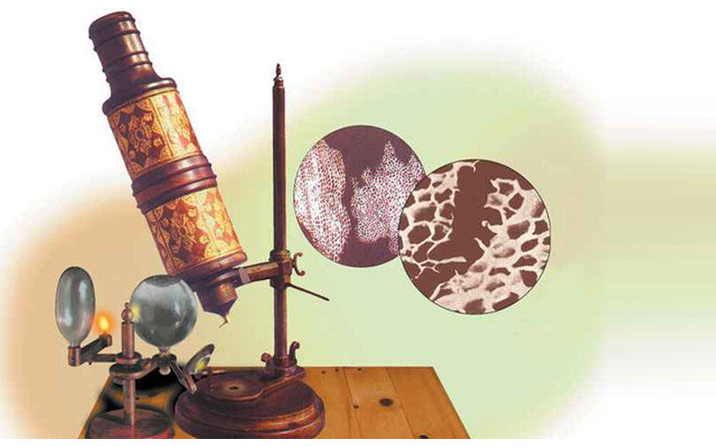 Сравнение типов микроскопов: Как выбрать?